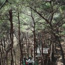 산마을길 초입 이미지