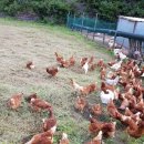 옛산골농장 이미지