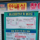 신안요양병원 | 양주 비타민캠핑장에서 보낸 벚꽃엔딩 캠핑과 시설 후기