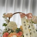 엘멍스 네이버블로그
