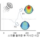 붓다와 뇌과학 25 | ‘저게 뭐지’ 반응과 인식통로 이미지