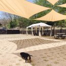 태담이네 하우스 이미지