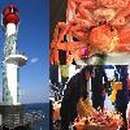 박달상지 이미지