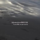 쏭쏭PC 네이버블로그