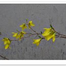 연수동주민센터 이미지