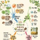 기분좋은한방병원 네이버블로그