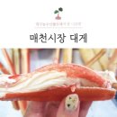 착한미도수산 | 대구매천수산시장대게 시세 및 2층식당 후기-성공적