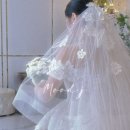 더 제이무드 | w4. 포항 경주 대구 울산 [본식 아이폰스냅 무드제이] 계약 후기 및 견적공유 / 짝꿍할인