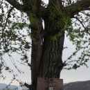 왕암농장 이미지