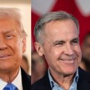 리에브르 이미지