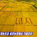 귀순농장 한국일보