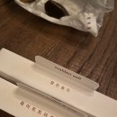 인덱스 카라멜 청담