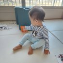 에이치알알 | 아기 소파 이쯔포포 유아의자 내 돈 내산 후기