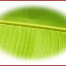 엔트로피발전소 이미지