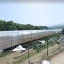 노곡리농장 이미지