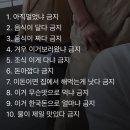 (주)오케이 여행 이미지