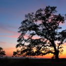 빛나는 사랑 이미지