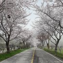 진도상설전통시장 이미지