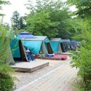 수 그린웨이 이미지