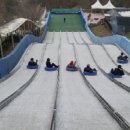 좌구산 썰매장 이미지