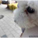 팝애니랩 이미지