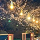 바이드302 이미지