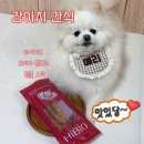 하이비오 | 강아지 간식, 오래 먹는 하이비오 칠면조 힘줄 스틱 추천 후기