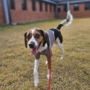 소답동225 이미지