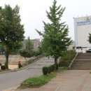 정석항공과학고등학교 이미지
