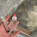 아가삐 | 고양이 IBD 투병 일기 : 림포마 검사
