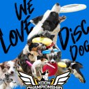 숲길 강아지 이미지