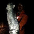 sea bass ! 이미지