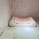 마인드몽 유치원 이미지