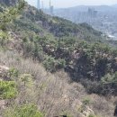 용마산건설 | 서울 등산 비교 ⛰️ 용마산,아차산 vs 청계산 vs 관악산 vs 인왕산