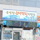 죽변항등대막회 이미지