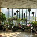 현대가외의원 이미지