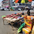 남지정기시장 이미지