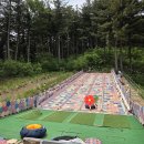 다복튜브