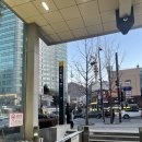 신세계온누리약국 | 남대문 왕솔약국 구매 후기(+온누리상품권 충전부터 결제까지)