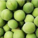 이백농장 이미지