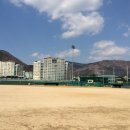 진해공설운동장야구장 Daum카페