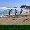 가족여행 이미지