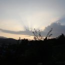 영농조합법인 영인팜 이미지