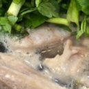 분당대맥주차빌딩 이미지