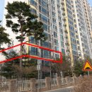 고양대로255번길 이미지