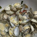 용용당구카페 | ^ㅏㄹrㅇㅎㅐ ♡