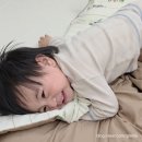 브룸환경 | 사계절 낮잠이불 베베데코 올데이 듀얼 브룸디노 패턴 사용 후기(feat. 15개월 남아)