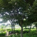 느티나무농장 이미지