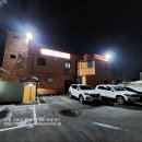 고등반점 이미지