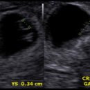 드림아이여성의원 이미지